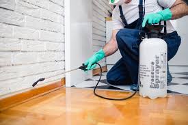 Best Residential Pest Control  in Taos, NM